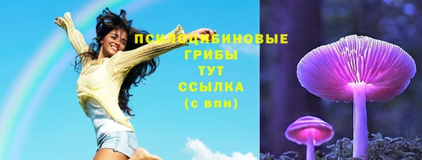 соль ск Алзамай