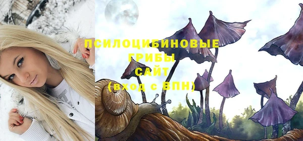 PSILOCYBIN Алексеевка