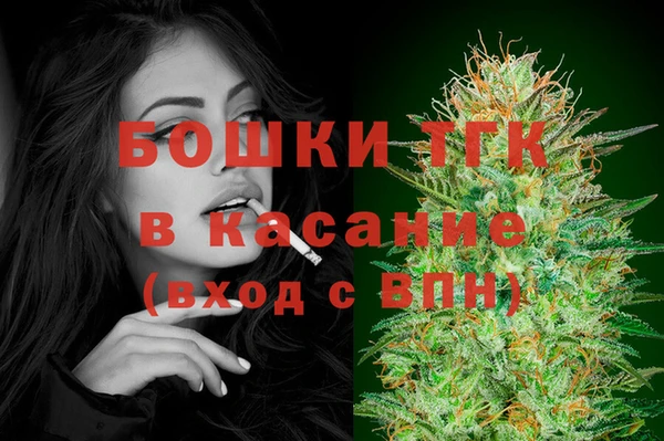 соль ск Алзамай