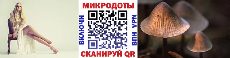 Галлюциногенные грибы мухоморы  как найти закладки  Камбарка 
